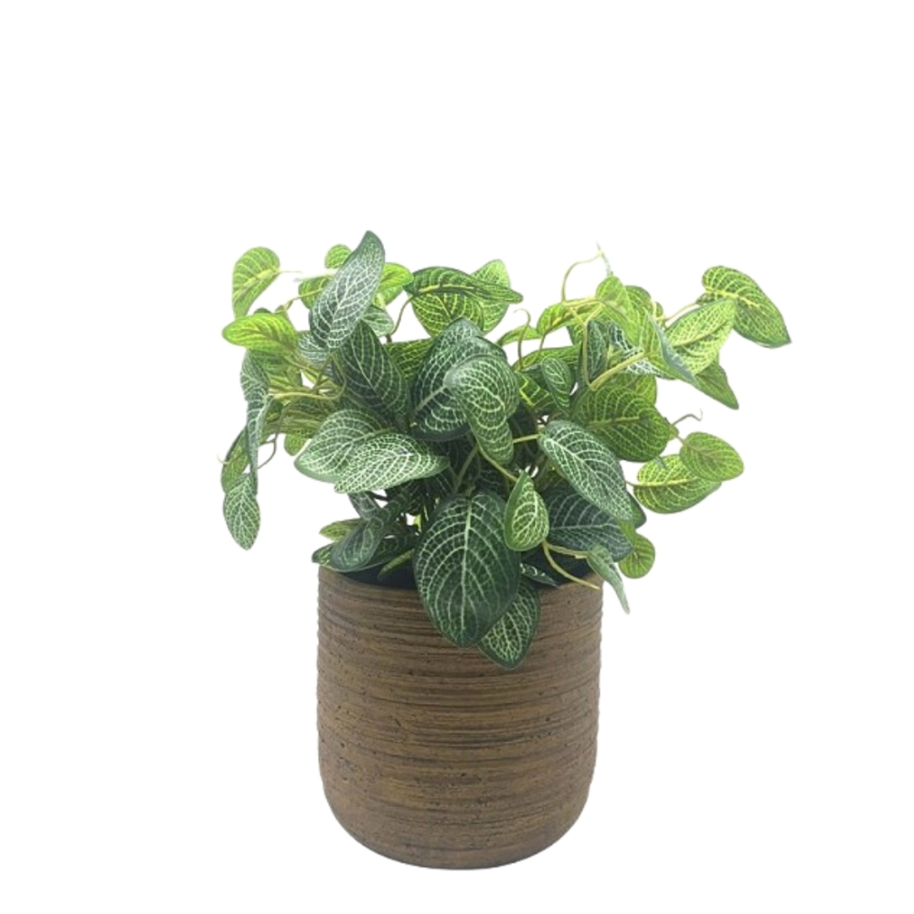 Fittonia Kunstplant in Pot - 35 cm
